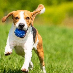 Снимка за слънчево време утре