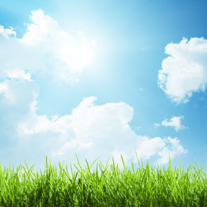 Снимка за слънчево време утре