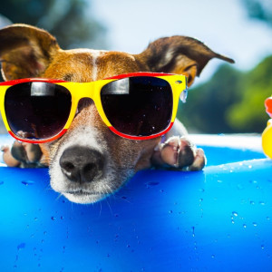 Снимка за слънчево време утре