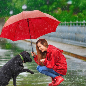 Снимка за дъждовно време утре