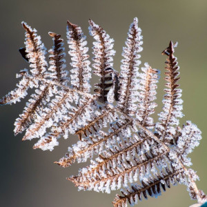 Снимка за студено време утре