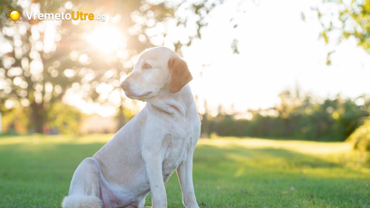Снимка за слънчево време утре