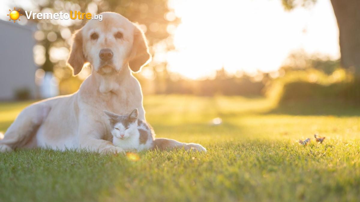 Снимка за слънчево време утре